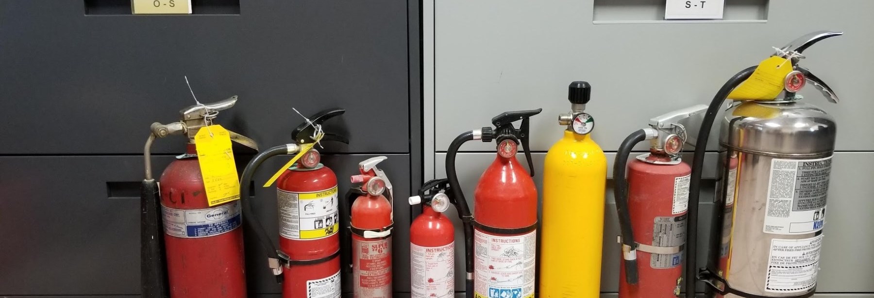 several extinguishers standing on the floor in a row varying sizes