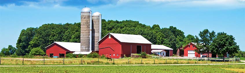 farm with barns and silos